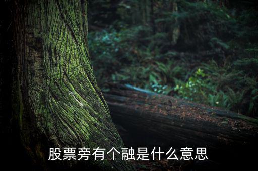 融買融賣是什么意思，股票旁有個(gè)融是什么意思