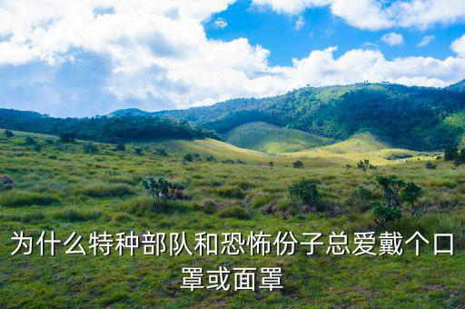 為什么特種部隊(duì)和恐怖份子總愛戴個(gè)口罩或面罩