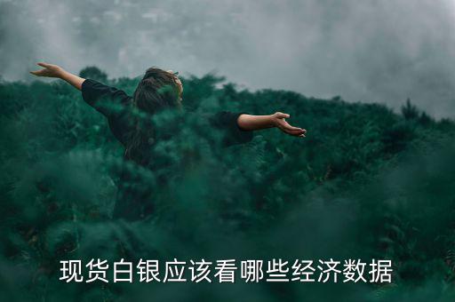 白銀價(jià)格和什么數(shù)據(jù)有關(guān)，現(xiàn)貨白銀應(yīng)該看哪些經(jīng)濟(jì)數(shù)據(jù)