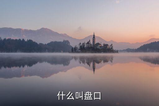 大盤口什么意思，大盤中的盤口是什么意思啊