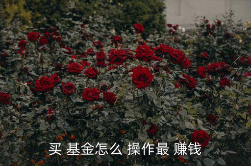 買(mǎi) 基金怎么 操作最 賺錢(qián)