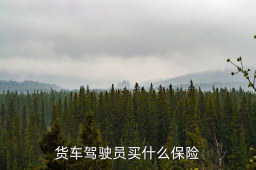 貨車司機(jī)買什么保險(xiǎn)好，大貨車買什么保險(xiǎn)最好