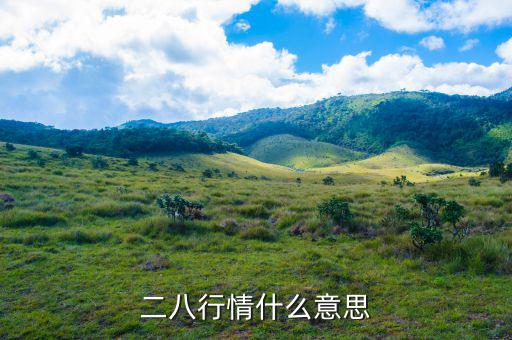 什么是288指數(shù)，股票二八現(xiàn)象是什么意思