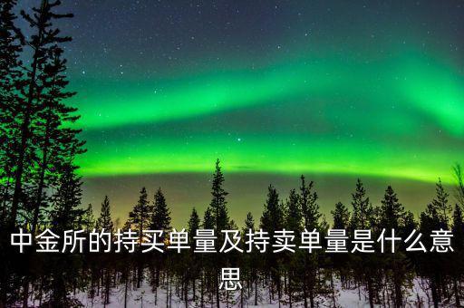 持買單量是什么意思，持賣單什么意思