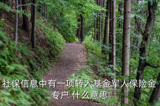 什么是社保轉(zhuǎn)入基金，請(qǐng)問(wèn)一下社保綜合中轉(zhuǎn)入基金是什么呢不明白里面的基金是怎么回事