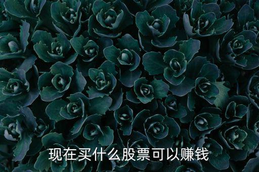 今年買什么股票可以賺錢，現(xiàn)在買什么股票可以賺錢