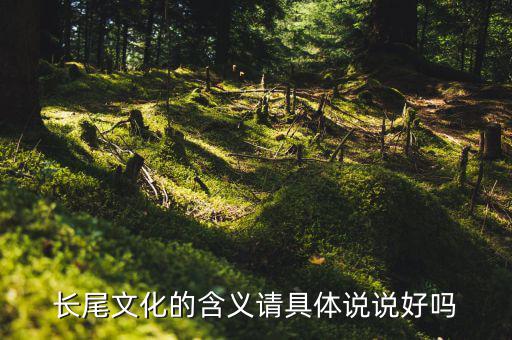 長(zhǎng)尾文化的含義請(qǐng)具體說說好嗎