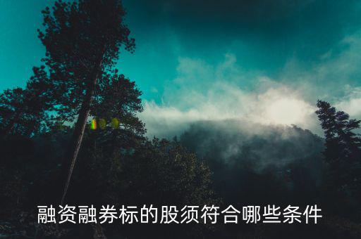 融資融券的股票具備什么條件，證券公司申請融資融券應(yīng)當(dāng)具備哪些條件