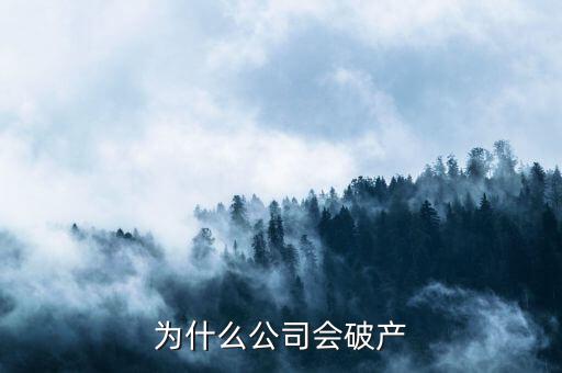 凱銀集團為什么破產(chǎn)了，公司破產(chǎn)的原因是什么