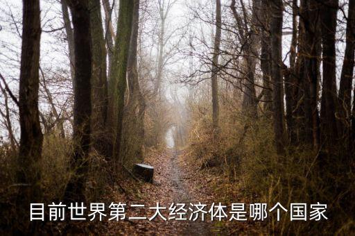 中國什么時候成為第二大經(jīng)濟(jì)體，中國成為世界第二大經(jīng)濟(jì)體是什么時候