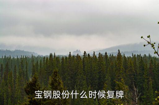 寶鋼什么時候復牌，武鋼和寶鋼什么時候完成重組
