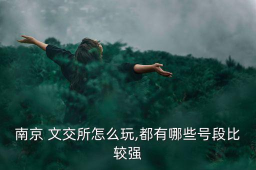 南京 文交所怎么玩,都有哪些號段比較強(qiáng)