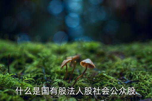 什么情況叫公眾持股，股份制上市企業(yè)誰能幫我解釋一下它是公企還是私企