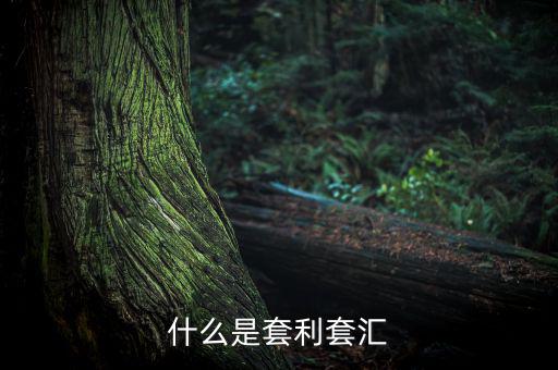 外匯套利是什么意思，什么是外匯期貨套利交易