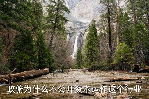 資本運作為什么不公開，政俯為什么不公開資本運作這個行業(yè)