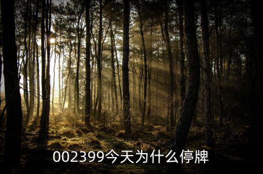 大連友誼為什么停牌，002399今天為什么停牌