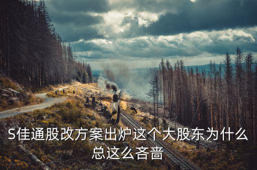 s佳通為什么不股改，s佳通的流通股這么少為什么不股改全流通
