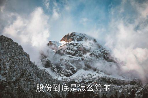 公司的股權怎么算,持股比例和股權比例有何不同?
