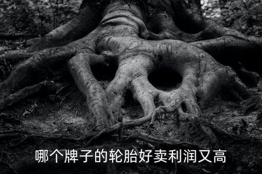 什么輪胎利潤大，哪個牌子的輪胎好賣利潤又高