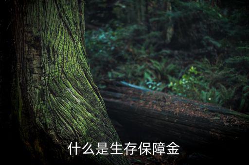 什么是生存保險金，什么是生存保障金