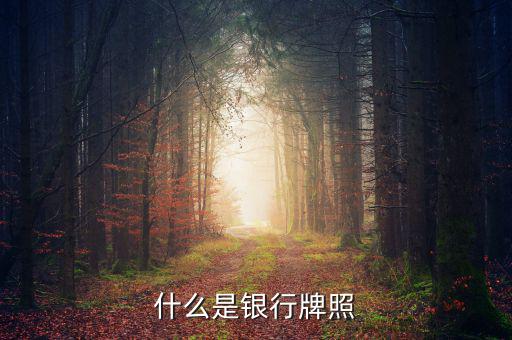 銀行牌照是什么，什么是銀行牌照