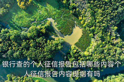 個人征信查詢都查什么，個人征信擔保審查都查什么