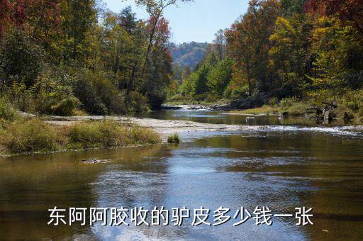 東阿阿膠股2012年是什么價位，誰知道山東東阿阿膠股份有限公司生產(chǎn)的補血膏多少錢一平300克的