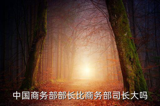 商務(wù)部部長什么級(jí)別，商務(wù)部部長多大的官