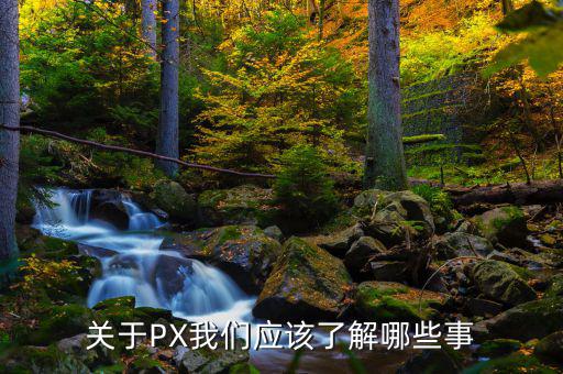 px項(xiàng)目是干什么的，關(guān)于PX我們應(yīng)該了解哪些事