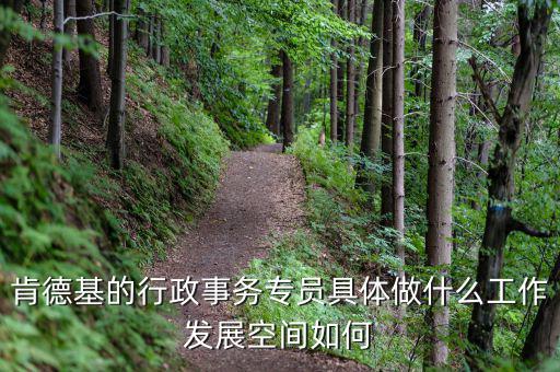 肯德基的行政事務(wù)專(zhuān)員具體做什么工作發(fā)展空間如何