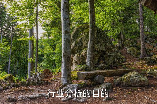 為什么要進(jìn)行行業(yè)分析，為什么要進(jìn)行市場分析
