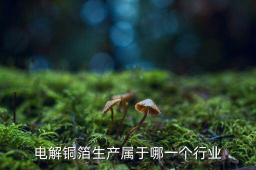 電子銅箔屬于什么行業(yè)，電解銅箔生產(chǎn)屬于哪一個行業(yè)