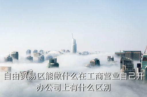自貿(mào)區(qū)有什么生意做，自貿(mào)區(qū)可以做做小生意嗎