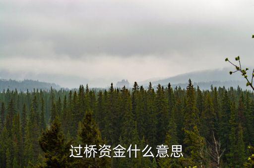 什么叫過橋資金，什么叫做過橋資金