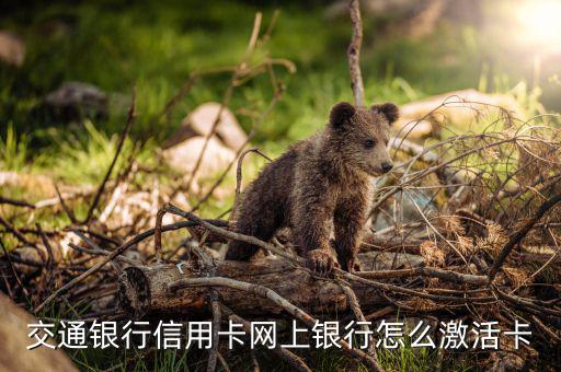 交通信用卡激活用什么手續(xù)，交通銀信用卡被注銷了怎么激活