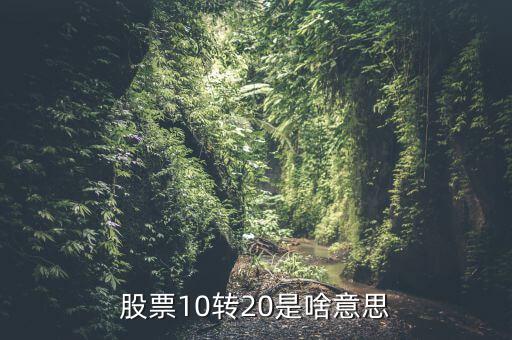 10送20的股票什么意思，股票10轉(zhuǎn)20是什么意思