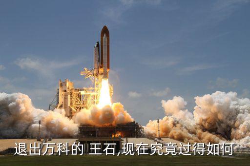 王石現(xiàn)在怎么樣,王瑞杰:等我成功，萬科就不需要王石