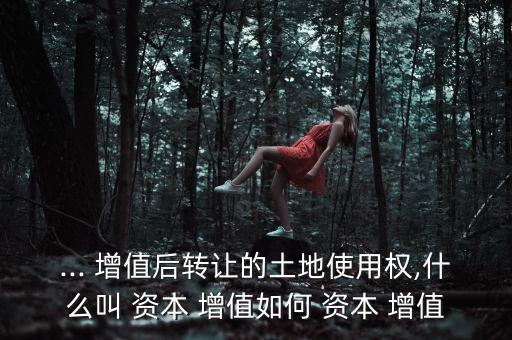 怎么資本增值,資本無形增值資產(chǎn)價(jià)值減去購買時(shí)的價(jià)格