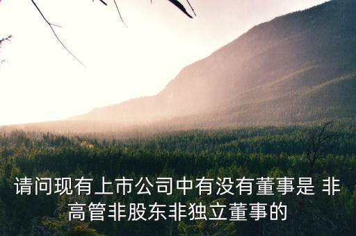 什么是非獨立董事，什么叫執(zhí)行董事非執(zhí)行董事和獨立非執(zhí)行董事