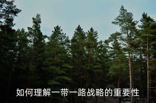 中國(guó)為什么要搞一帶一路，當(dāng)代國(guó)際社會(huì)的知識(shí)分析我國(guó)為什么要提出一帶一路的倡