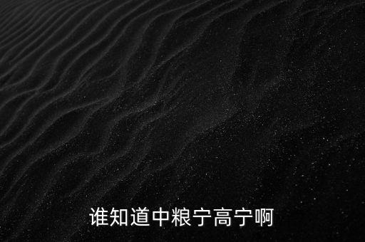 寧高寧為什么離開華潤(rùn)，誰(shuí)知道中糧寧高寧啊