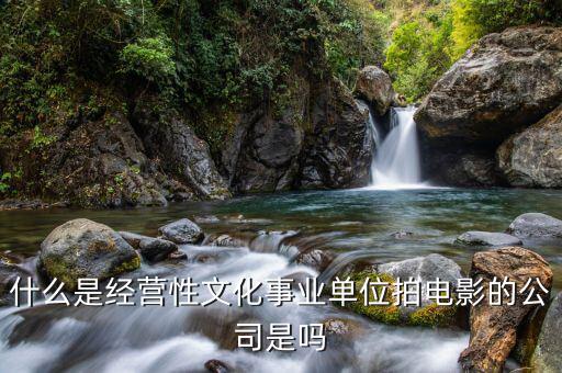 什么是經(jīng)營性事業(yè)單位，哪些屬于經(jīng)營性文化事業(yè)單位