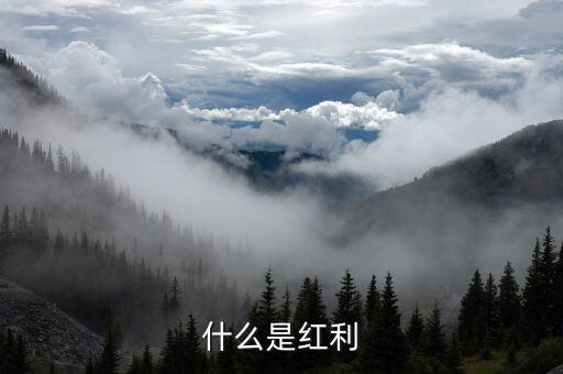 什么是全球化紅利，紅利是指什么意思