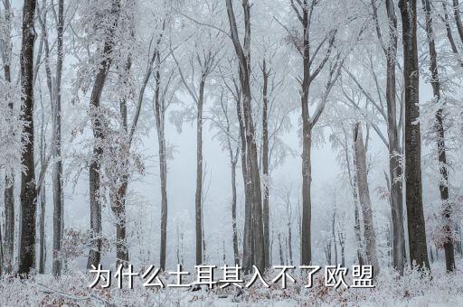為什么土耳其無法加入歐盟，為什么土耳其入不了歐盟