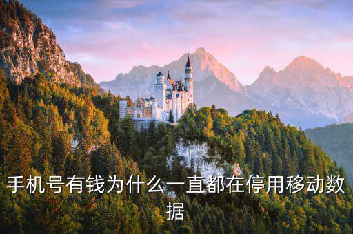 鏈動(dòng)數(shù)據(jù)為什么有錢，廣東鏈動(dòng)為什么那么多人認(rèn)同和喜歡