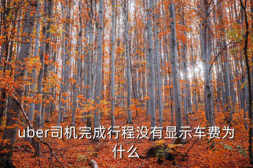 uber為什么不顯示價格，優(yōu)步叫車前看不到價格