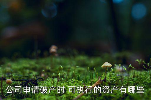 公司申請破產時 可執(zhí)行的資產有哪些