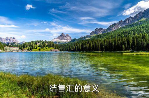 為什么外匯結(jié)匯，結(jié)售匯的意義