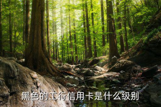 工商銀行的黑卡有什么權(quán)限，工行是不是出了一款運(yùn)通黑卡啊我想問(wèn)的是想申請(qǐng)運(yùn)通黑卡要在當(dāng)?shù)?/></a></span><span id=