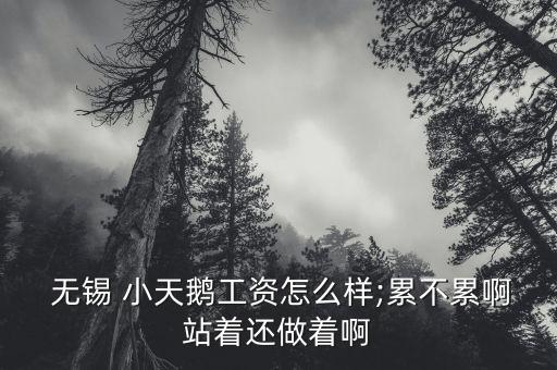  無(wú)錫 小天鵝工資怎么樣;累不累啊站著還做著啊